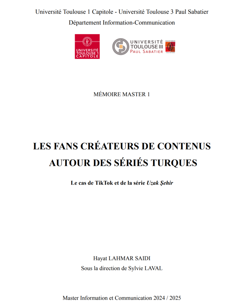 Mémoire Master